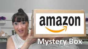 AMAZON Mystery Box | What Could be Inside?