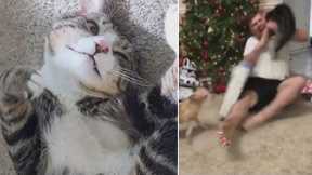Man Defends Cat That Attacked Him While Opening Christmas Presents