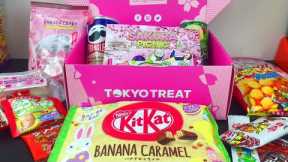 Tokyo Treat Japanese Snack Monthly Subscription Box Sakura Picnic Unboxing & Tasting