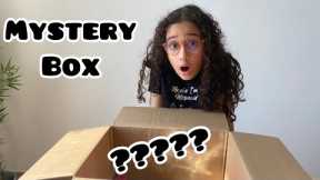 Mystery Box l unboxing l Liloz World