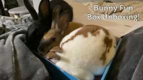 Bunny Fun Box Unboxing! Bunicorn!
