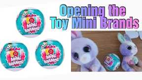 Opening the Toy Mini Brands #unboxing #toyminibrands