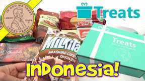 Try Treats Indonesia Candy & Food Monthly Subscription Snack Box
