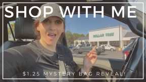 *COME WITH ME TO DOLLAR TREE* $1.25 BRAND NEW ITEMS & CAR HAUL (MYSTERY BAG HAUL)