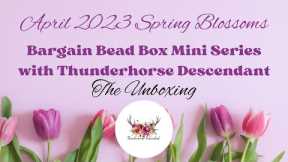 Unboxing: April 2023 Bargain Bead Box Mini Series with Thunderhorse Descendant