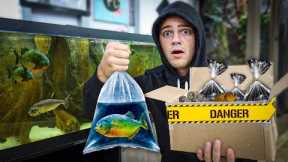 Buying MYSTERY FISH BOX OFF the DARK WEB for Aquarium!!