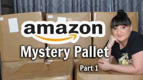 Unboxing A  Huge AMAZON Mystery Pallet | 600 Items | Part 1