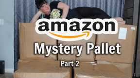 Unboxing Some AMAZON Mystery Box | Part 2 | So Far Worth It?