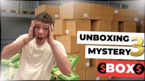 Unboxing Huge Profits: Amazon Mystery Box Secrets!