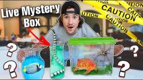 DON'T BUY *LIVE ANIMAL* MYSTERY BOX OFF THE DEEP WEB...