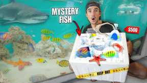 BUYING $500 LIVE FISH MYSTERY BOX Off The Web... (What's Inside?)