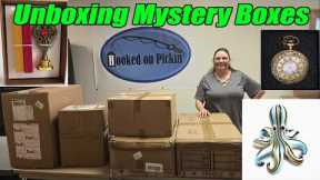 Unboxing Boxes that are a total mystery to us. This Was our most interesting unboxing to date!