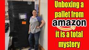 Unboxing an amazon Pallet of Mystery Items I paid $1,000.00 For it! will i make money?