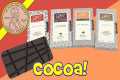 Cococlectic DAR Chocolate Monthly