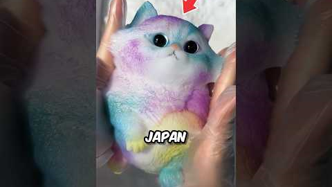 Squishy Sticky Cat Toy 😍 ￼