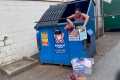 DUMPSTER DIVIN// STARTED AS A