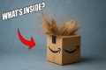 I Bought an Amazon Mystery Return Box 
