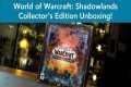 World of Warcraft: Shadowlands