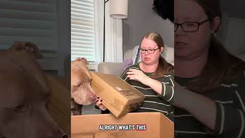 10/29 Another Amazon Mystery Box from my Pallet