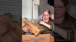 10/29 Another Amazon Mystery Box from my Pallet