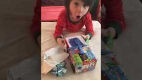 Nintendo Switch Christmas!