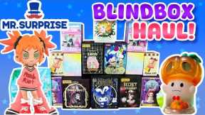 $400 MR.SURPRISE BLIND BOX HAUL!!! WE GOT A SECRET?!