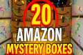 The Truth About Amazon Mystery Boxes! 