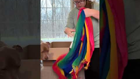 12/28 Let’s see what’s in these two light Amazon Mystery Boxes to open on this snowy day