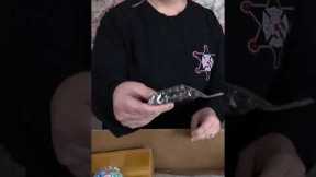 We have a new Amazon Mystery Box Unboxing! Check this out and follow for the full video! #amazon