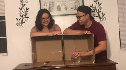 WHAT’S IN THE BOX CHALLENGE | ROD RIVALS | HUSBAND VS WIFE 2017