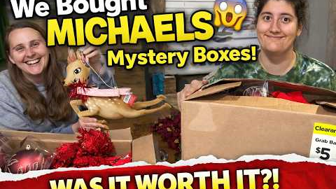 We Bought MICHAELS Mystery Boxes… Was It Worth It?! | Huge Haul & Surprises!