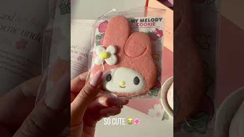 HelloKitty and Friends + Bokksu Snack Box | Trying Out The New Hello Kitty Snack Box