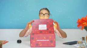 SnackFever - a monthly box of Korean snacks and goodies