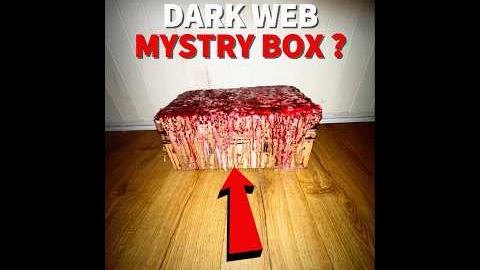 Mystery Box - Real or Fake 💰
