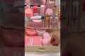 ASMR aesthetic skincare organizing
